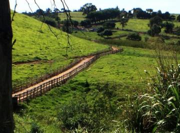 imovel_880_17372.jpg · Fazenda / Sítios / Chácaras com 5 quartos à venda em Perdões, no bairro Zona Rural