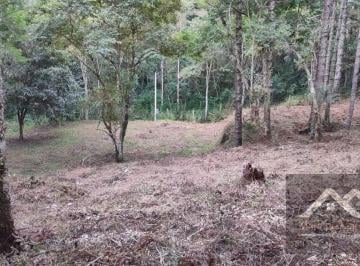 Comercial · 51000m² · "Área para Empreendimento em Sertãozinho - Venda por R$3.000.000"