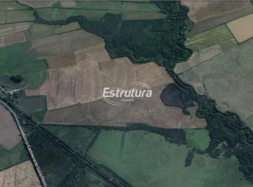Rural · 241000ha · Área de terra para cultura de arroz