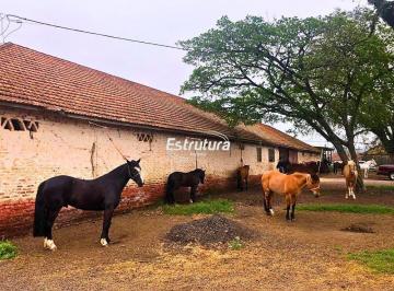 Rural · 2ha · 1 Quarto · Chácara em zona urbana com infraestrutura para Haras