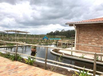 Rural · 117000m² · Área a Venda com 117.000.00 m² contando com uma Parreira com uvas especiais c/ infraestrutura