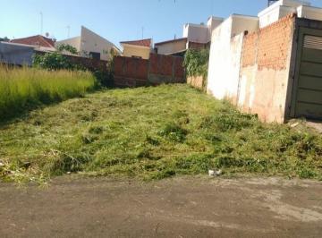 Foto 01 · Terreno, Jardim Pedro Borgoni, Catanduva, SP