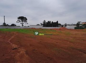 7001315.jpg · TERRENO - GRANDES AREAS - RIO ABAIXINHO - ARAUCARIA