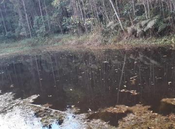 Rural de 3 quartos, Juquitiba · EXCELENTE SÍTIO 13 ALQUEIRES, COM LAGO EM JUQUITIBA COD: 4559 F:(11) 97302-9229
