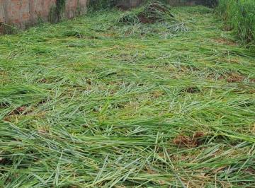1777036921.jpg · Terreno em oportunidade Res Macaúba | Só aqui na Rosa e Rangel