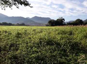 17576196_g.jpg · 
                                Área de Terra, incrível com mais de 90% plana e divisa com rio!!
  