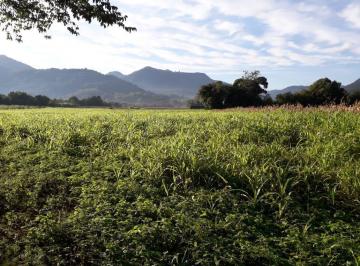 Terreno · 59950m² · Área de Terra, incrível com mais de 90% plana e divisa com rio!!