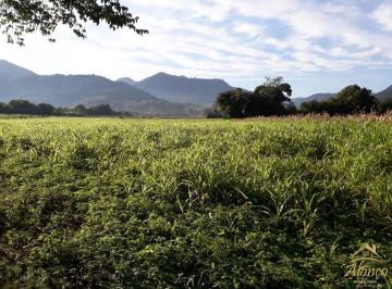 Terreno · 59950m² · Área de Terra, incrível com mais de 90% plana e divisa com rio!!