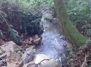 17392340_g.jpg · 
                                Sítio Bairro vila Germânia Nova Petrópolis RS 
                    