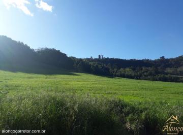 13888596_g.jpg ·
Excelente área de terra com 120.000 m² Linha Brasil Nova Petrópolis