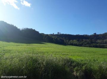Terreno · Excelente área de terra com 120.000 m² Linha Brasil Nova Petrópolis RS