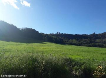 Terreno · Excelente área de terra com 120.000 m² Linha Brasil Nova Petrópolis RS