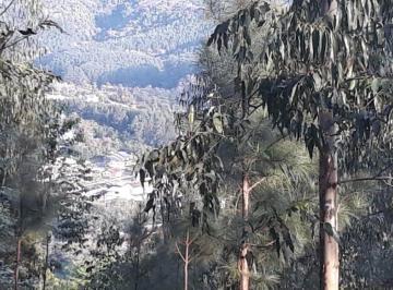 Terreno · 2800m² · Excelente área de terra em Picada Café, RS