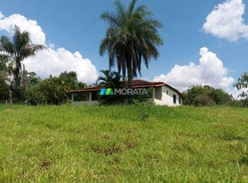 5360_i3L64FAm8cD0_536061dc8b69c7374.jpg · Imoveis - em Zona Rural