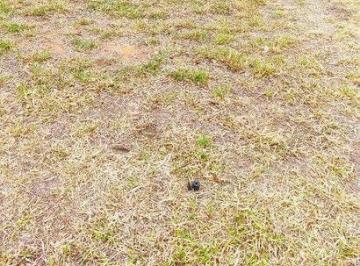 3a98a24eabd9493c1be0c0f9104fe0e712d67ad4 · Terreno à venda - Residencial Real Park Sumaré - Sumaré/SP
