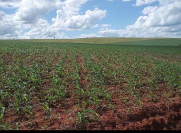 Foto 01 · Fazenda 152 Alqueires, Boa de Água com Riachos e Poços Naturais, 110 Alqueires em Área Plantada, 12 