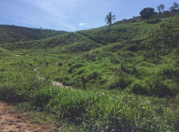 Foto 01 · Fazenda, Área Rural de Colatina, Colatina, ES