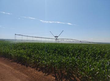 Rural , Cristalina · Fazenda produtiva, Cristalina/GO, 2020 ha, 12 pivôs, água, R$ 330 milhões
