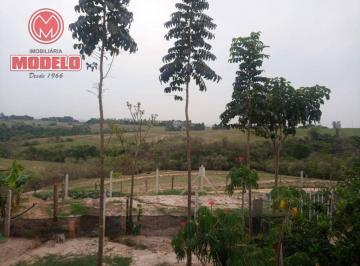 d4dfe38ac28194ea4358f06cb8b4535c8b4637c5 · Chácara à venda, 600 m² por R$ 430.000,00 - Centro (Ártemis) - Piracicaba/SP