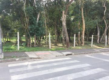 Terreno de 5 quartos, Piraquara · Vende se Chácara Centro de Piraquara - 18.000 m²