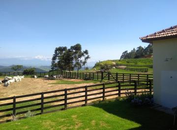 Foto 28 · Fazenda estruturada para gado de corte com sede 4 Quartos e 154 Alqueires na Estrada Vicinal de Lore