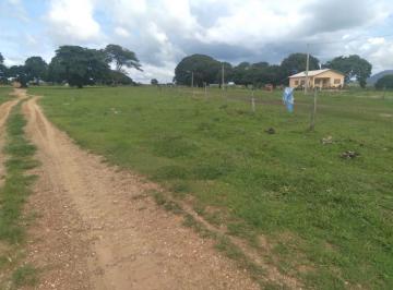 Rural de 5 quartos, Divinópolis de Goiás · Divinópolis, 7500hec, para pecuária e soja