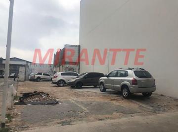 963e0d78083fe96b779ea0d6ef67366a.jpg · Terreno