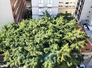 venda-3-dormitorios-jardim-america-sao-paulo-1-5753466.jpg · Imoveis - no Jardim América