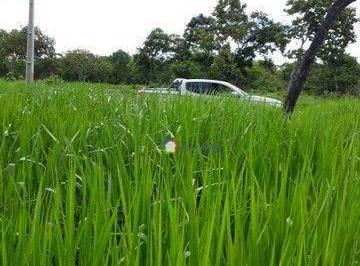 163b3b6e7e45a25c70a0b8e57225bbb8175645be · Fazenda com 206 alqueires à venda PORTEIRA FECHADA- Campos Belos/GO