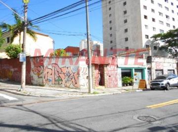 cb218f6a55960a46c1731dde2383002e.jpg · Terreno