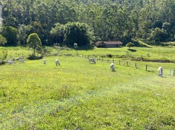 Rural · 57000m² · 1 Quarto · Sítio em Moura, Canelinha/SC
