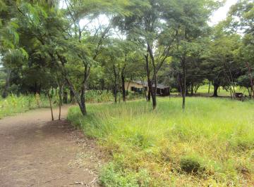Rural , Santo Antônio do Descoberto · SANTO ANTONIO DO DESCOBERTO,  tem NASCENTE RICA EM ÁGUA.