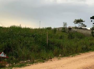 Rural , São José dos Pinhais · Chácara a Venda sem benfeitorias