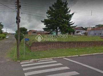 364868_ifuy6vpMDUmYAk2U51kH_364868620bea665e702.jpg · Terreno no bairro Primavera