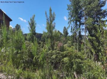 Foto 01 · Terreno, Linha Imperial, Nova Petrópolis, RS
