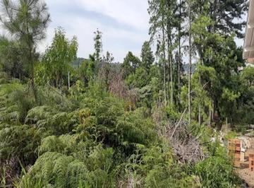 Foto 04 · Terreno, Linha Imperial, Nova Petrópolis, RS