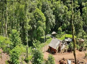 Foto 01 · Sitio, Linha Pirajá Baixa, Nova Petrópolis, RS