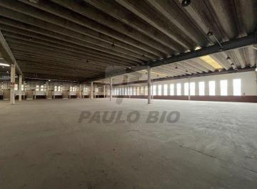 9299_ijo32d253_929966bb80b4d59d1.jpg · Comercial para aluguel - na Chácara do Solar I (Fazendinha)