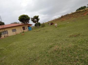 Rural Venda 288000m² de 2 quartos · Sítio em Rodovia Prefeito Quintino de Lima - Centro (Canguera) - São Roque/SP