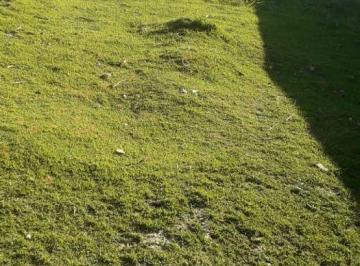 Terreno · 250m² · Lote em condomínio em Rua Santa Quitéria - Vila Irene - São Roque/SP