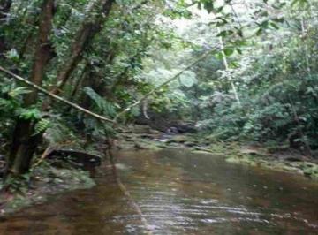 Rural de 1 quarto, Mongaguá · Chácara em Estrada do Bananal - Agenor de Campos - Mongaguá/SP