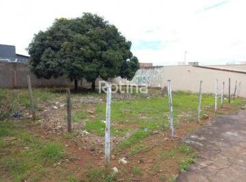 Terreno · 600m² · Terreno para alugar, Pampulha - Uberlândia/MG - Rotina Imobiliária