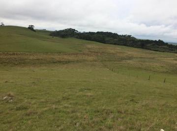 Terreno · 150000m² · Lote em  São Francisco de Paula - Centro - São Francisco de Paula/RS