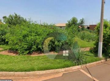 0196d178296d0efb10cbd1e013b3377d3d746cbb · Terreno à venda, 421 m² por R$ 253.000 - Vida Nova - Barretos/SP
