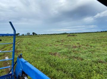 Rural , Vila Boa · Fazenda na região em Goiás, dupla aptidão, 3.182 hectares