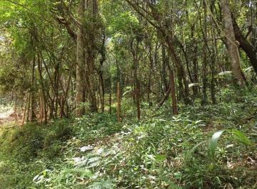 Foto 01 · Terreno, Despezio, São Lourenço da Serra, SP