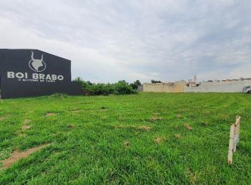 Foto · Oportunidade única: terreno comercial de 360m² à venda no Jardim Cajubá, Sertãozinho-SP