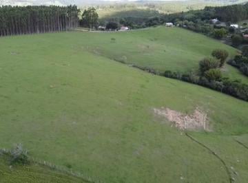 Foto 01 · Fazenda 160 Alqueires, Rica em Água com Açudes e Ribeirão, Formada em Pasto, Topografia Caída, Casas