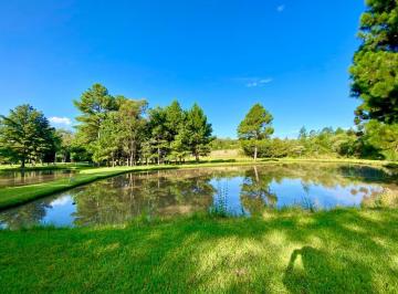Rural de 3 quartos, Três Coroas · Sitio com 33 Hectares em Três Coroas/RS na Localidade de Serra Grande
