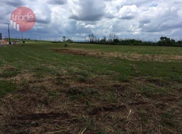 c29f5f62d0a9f88b4f7ec75eaad4652804065c9b · terreno de 20.067,16m² na marginal da Rodovia Abrão Assed, sentido Serrana.